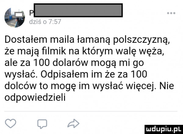 b dziś o      dostałem maila łamaną polszczyzną że mają filmik na którym wadę węża ale za     dolarów mogą mi go wysłać. odpisałem im że za     dolców to mogę im wysłać więcej. nie odpowiedzieli