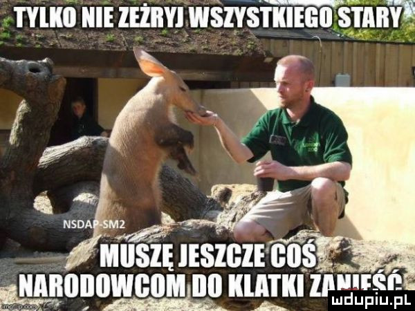 mam zeżiiy wśliś lill a n ślin f ff nad away muszę ieszgze gaś i g. ggnopowcomlno mm zlim ść ludupiu. pl