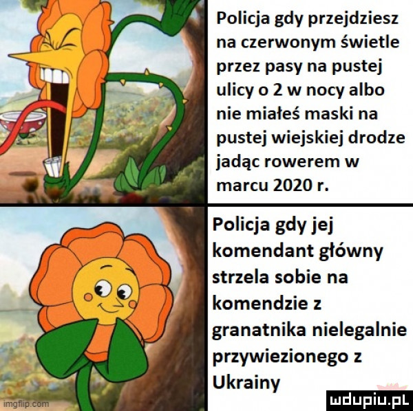 policja gdy przejdziesz na czerwonym świetle przez pasy na pustej ulicy     w nocy albo nie miałeś maski na pustej wiejskiej drodze jadąc rowerem w marcu      r. policja gdy jej komendant główny strzela sobie na komendzie granatnika nielegalnie przywiezionego z ukrain y