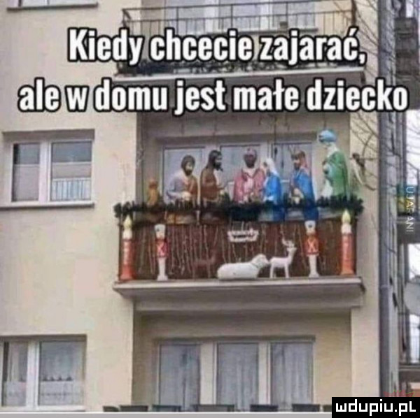 wąmć