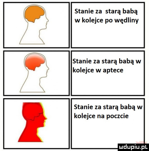 stanie za starą babą w kolejce po wędliny stanie za starą babą w kolejce w aptece stanie za starą babą w kolejce na poczcie