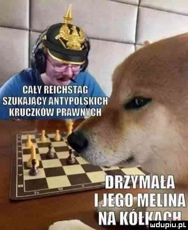 emv heighsmg. szukam antvfdiskieh i iłllclki w pmwnmeh