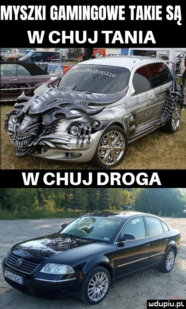myszki gamingowe takie sl. chuj tania wczuj dńóća