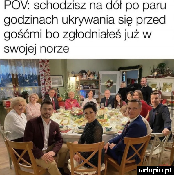 pcv schodzisz na dał po paru godzinach ukrywania się przed gośćmi bo zgłodniałeś już w swojej norze