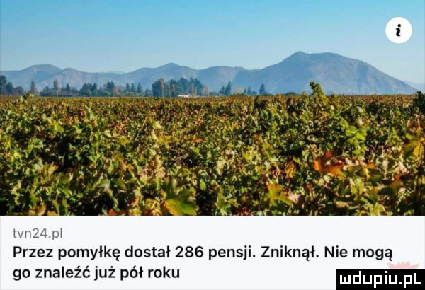 widm przez pomyłkę dostał     pensji. zniknął. nie mogą go znaleźć już pół roku