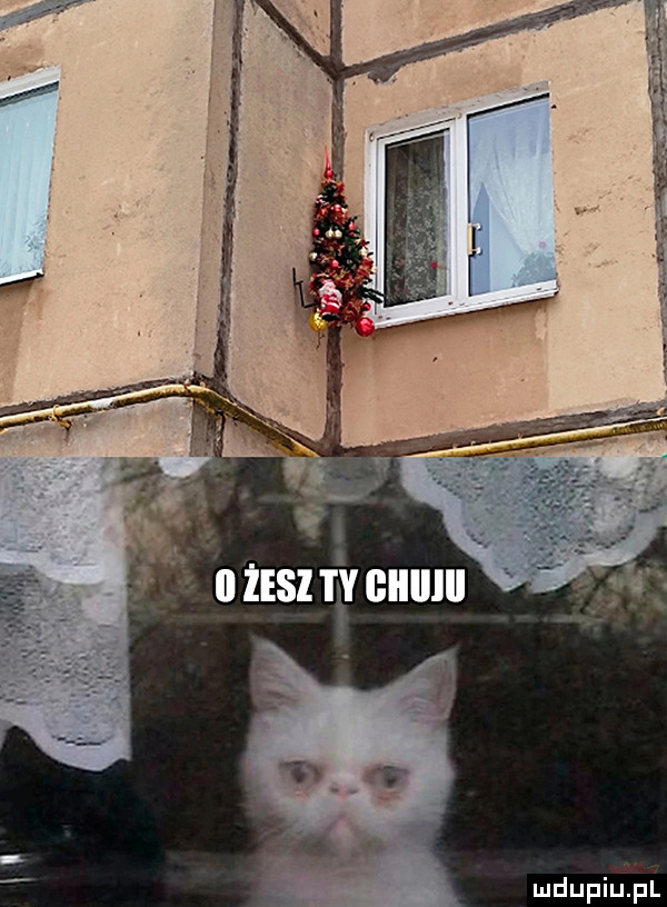 Obrazek