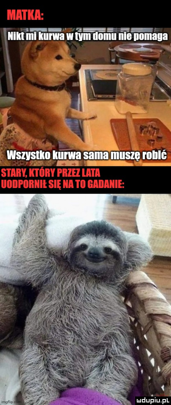 wshsiiii ie sama iiiiiszę i oiiii mu