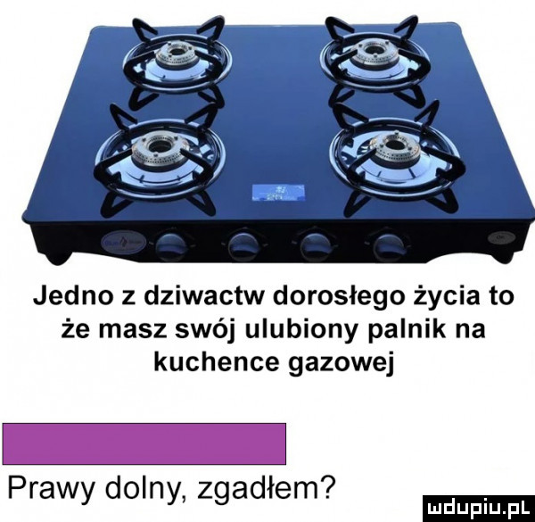Ulubiony palnik