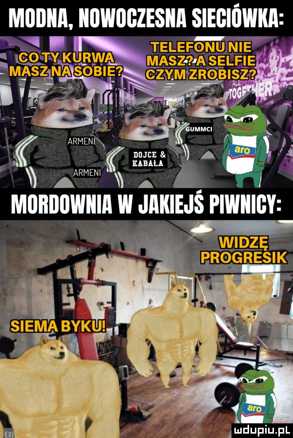 miiijiia nowoczesna sieciówka. l rą. ak arden nk rgiﬁ a a ja xx aarmeni a a x miibijiiwiiia w jakie is piwiiigy