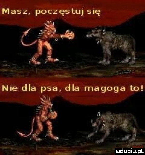 masz. poczęstuj się ﬂ żśwę ce a  . q.  . ligi nie dla psa. dla magoga bo t. jw je é      p. ludu qui