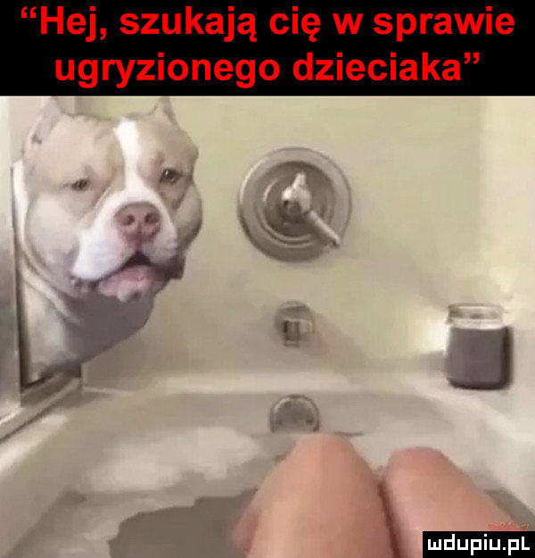 upiu pl