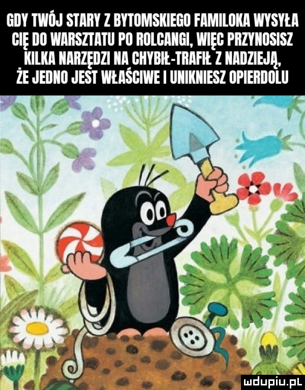edy twój stary z bytumskiegii fimlllllul wysyi ji i iii wiiiisziiitii i ll iiillgliiiii. wręg piizyiiiisisz kilka narzędzi iiągiiybil tiiafii z nadzieją. ze jeiliill jest własgiwe i liiiikiiiesz dpiebillllll są