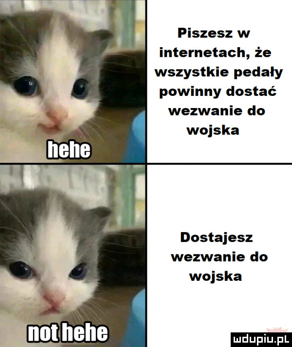 piszesz w internetach że wszystkie pedały powinny dostać wezwanie do wojska dostajesz wezwanie do wojska ludu iu. l