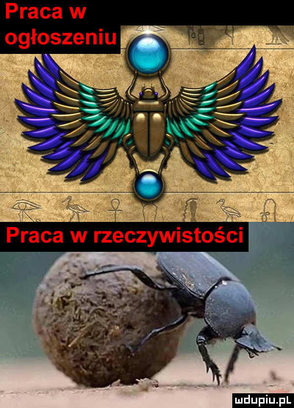 upiu pl