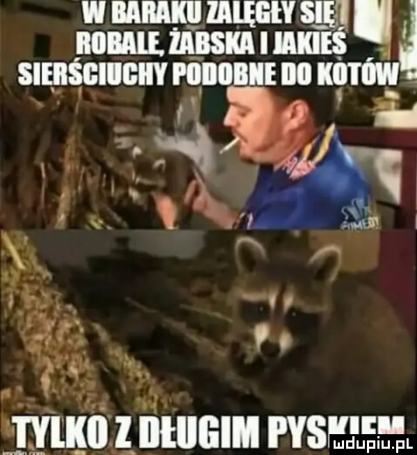 w ramki lalęliły się i rome. żabki i mkies sięijśgiigiiy piiiiiiiie iii km hi yiiiii l iiiiiiiiii pis uu u piiil