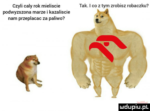 czyli caly rok mieliscie tak. i co z tym zrobisz robaczku podwyzszona marze i kazaliscie i nam przeplacac za paliwo i