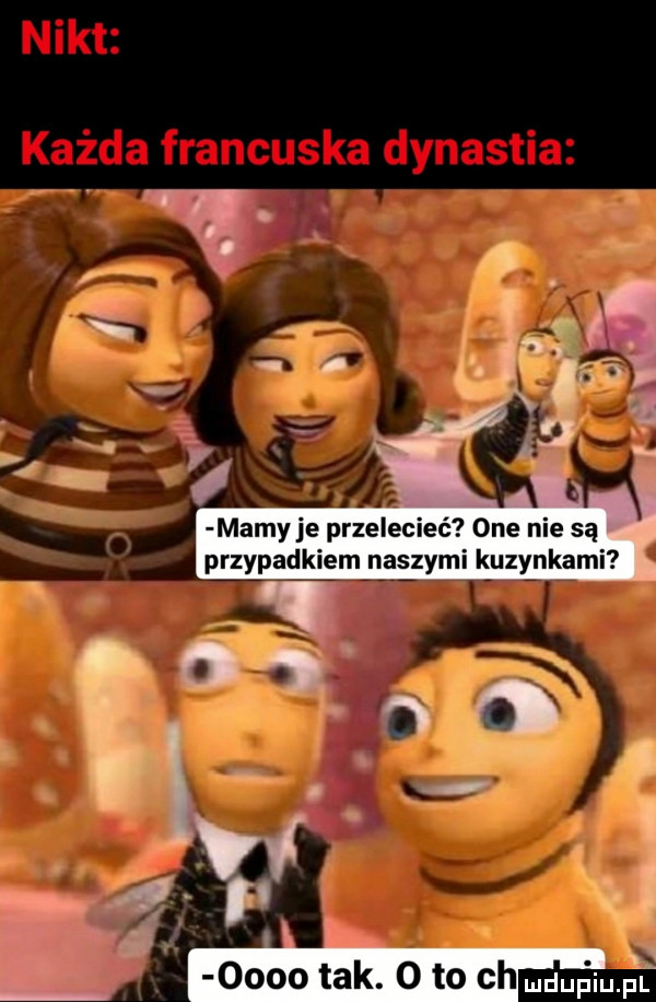 mamy je przelecieć one nie są przypadkiem naszymi kuzynkami e  j oooo tak oto ch mdupiu pf