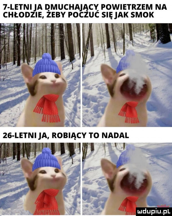 letni a qmuchający powietrzem na chłodzie zeby poczuc się ak smok    letnica robiący to nadal w v mdupiliiil
