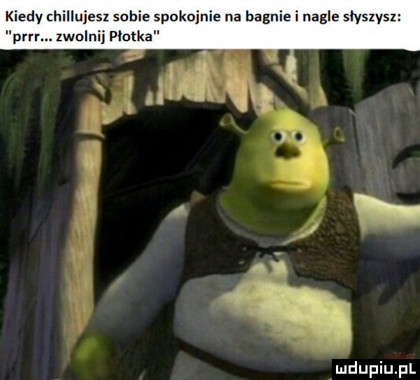 k dy chillu sz sobie spokoi bagnie i nagle słyszy parr zwoln płotka