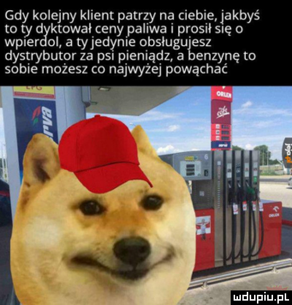gdy kolejny klient patrzy na ciebie jakbyś to ty d ktowal ceny paliwa i prosił się o wyler ol a tyjedynie obsługujesz dystrybutor za psi pieniądz a benzynę to sobie możesz co najwyżej powąchać