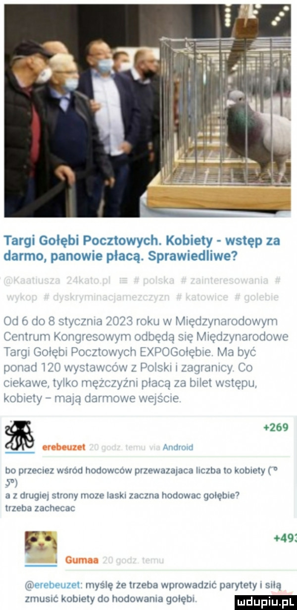 targi gołębi pocztowych. kobiety wstęp za darmo panowie płacą. sprawiedliwe o    i   stycznidz opsmkuwmię   yimm iowyiii centrum kongresowym odbędą się międzynarodowe targi gołębi pocztowych expogoiębie ma być ponad     nan stautow z pliski i mgramcy co ciekawe tylko męzczyzm mace za bidet wstępu kobiety may darmowe weisoe     aiiiiiivid bo pvzeclez wsrod hodowcow przewazaiaca liczba   kobiety   a   drugie strony moze laski zaczna hodowac goleble  trzeba zacheca fso    aare dżum mysle ze lizela wpiowadznc parylelyi sicą zniu ic kobiecy do hodowania gołębi