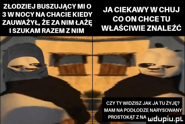 złodziej buszujący ml o  wnocynachacie kiedy jaciekawywchuj co on chce tu zauważyl. że za nim łażę szukam razem z m właściwie znalezc cszledlez jak jetu żuję mam na podlodze narvsowanv prostokątzna
