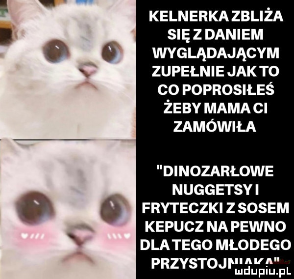 kelnerka zbliża się z daniem o o wyglądającym. zupełnie jak to co poprosiłeś żeby mama cl zamówiła dinozarłowe nuggetsyi o o fryteczki z sosem kepucz na pewno dlatego młodego przystoj      pr