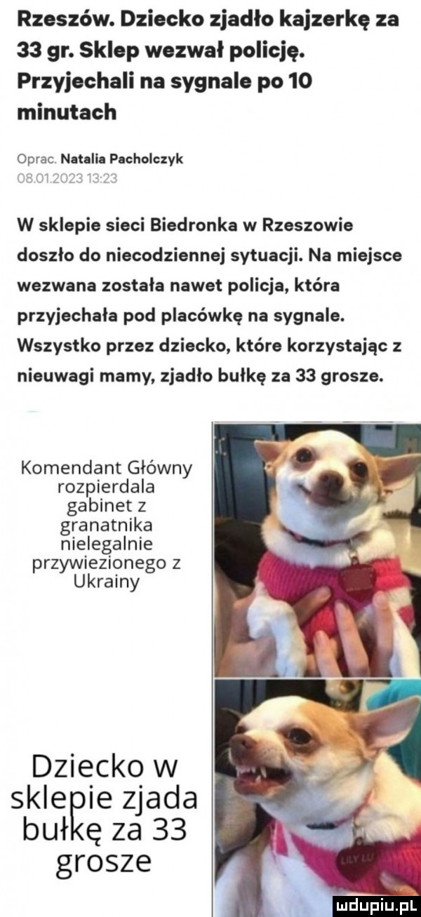 rzeszów. dziecko zjadło kajzerkę za    gr. sklep wezwał policję. przyjechali na sygnale po    minutach oprac. net lee pacholczyk w sklepie sieci biedronka w rzeszowie doszło do niecodziennej sytuacji. na miejsce wezwana zostala nawet policja która przyjechala pod placówkę na sygnale. wszystko przez dziecko które korzystając z nieuwagi mamy zjadło bułkę za    grosze. komendant główny rozpierdala gabinet z granatnika nielegalnie przywiezionego z ukrainy dziecko w sklepie zjada buł ę za    grosze l