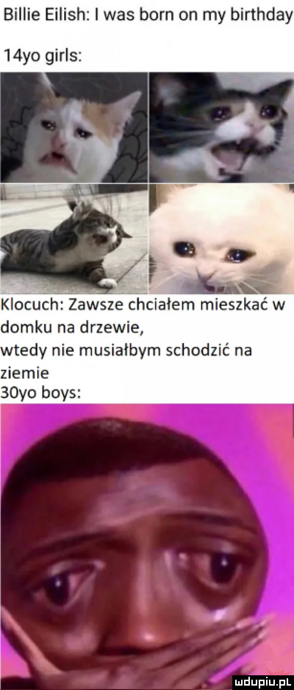 billie eilish i was barn on my birthday   yo girls klocach zawsze chcialem mieszkać w domku na drzewie wtedy nie musiałbym schodzić na ziemie   yo boks