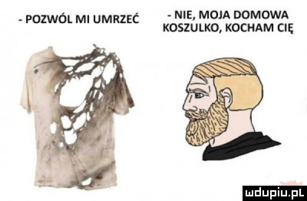 pozwól ml umrzec nie. moja domowa koszulko kocham cn ludu iu. l