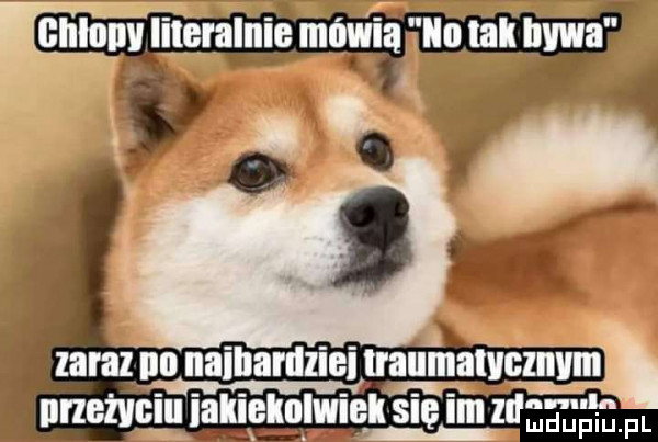 zapal ibl naillarllziei traumatycznym i w. dhghgiii mluelnlmek się ilii zmaga pl