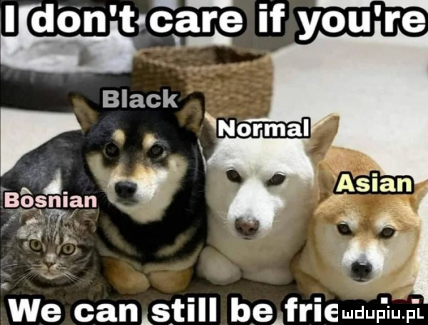 ildb n lżąc able if y-u re i bgsnian w w. we camstill be frieuuuﬁiuﬁ