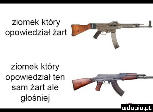 ziomek który opowiedział żart w ziomek który opowiedział ten sam żart ale i głośniej m