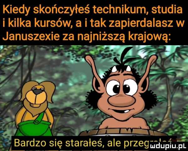 kiedy skończyłeś technikum studia i kilka kursów a i tak zapierdalasz w januszewie za najniższą krajową   v. l lv bardzo się starałeś ale przejm gp iuﬁ