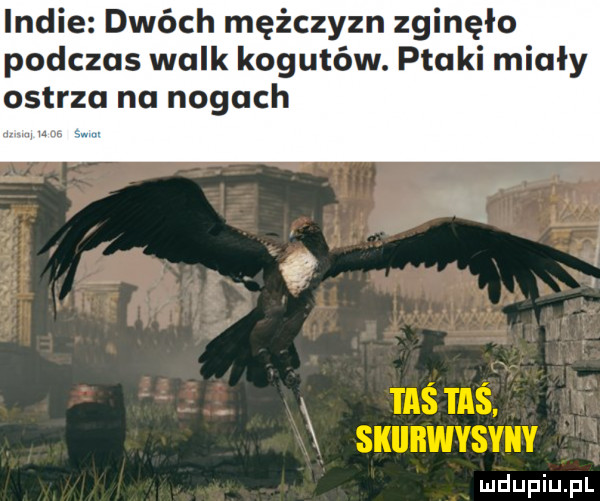 indie dwóch mężczyzn zginęło podczas walk kogutów. ptaki miały ostrza na nogach