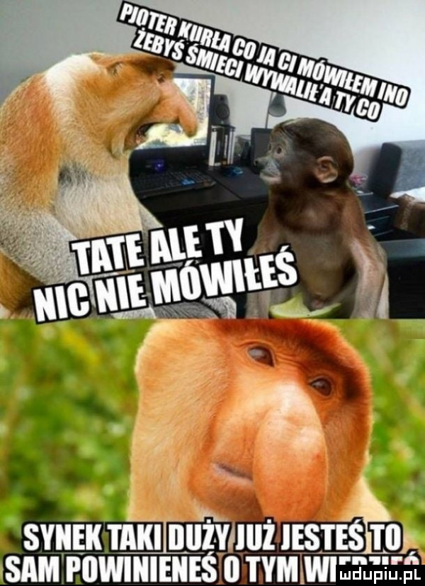 smugu mﬁinuﬁuuilisris    sam piiwiiiieiieś o mama um
