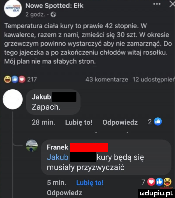 nowe spotted eak   godz temperatura ciała kury to prawie    stopnie. w kawalerce razem z nami zbieś się    set w okresie grzewczym powinno wystarczyć aby nie zamarznąć. do tego jajeczka a po zakończeniu chłodów witaj rosołku. mai plan nie ma słabych stron. o.        komentarze    udostępnie. jakub zapach.   min. lunięto odpowiedz  . franek jakub kury będą się musiały przyzwyczaić   min. lubię to   one odpowiedz