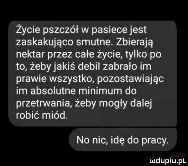 życie pszczół w pasiece jest zaskakująco smutne. zbierają nektar przez całe życie tylko po to żebyjakiś debil zabrało im prawie wszystko pozostawiając im absolutne minimum do przetrwania żeby mogły dalej robić miód. no nic idę do pracy