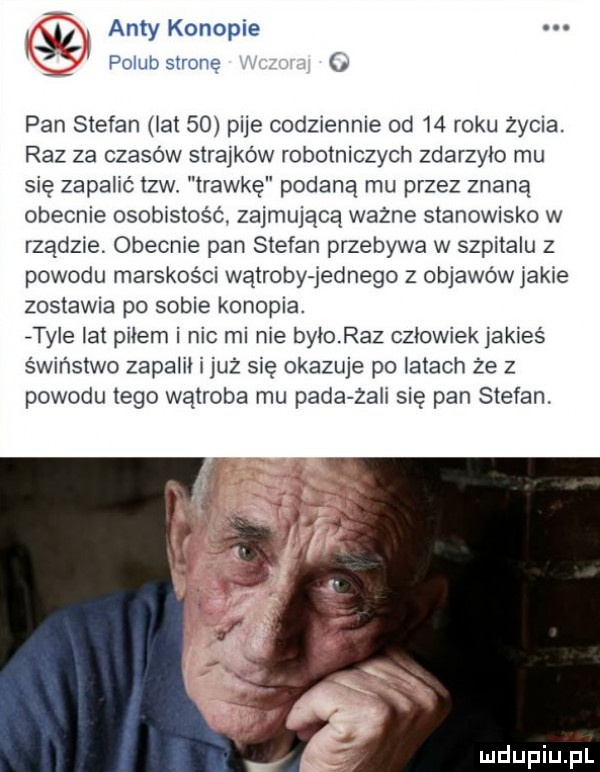 ant kano ie iś ł i f y olubstrone   pan stefan oit    pije codziennie od    roku życia. raz za czasów strajków robotniczych zdarzylo mu się zapalić tlw. trawkę podaną mu przez znaną obecnie osobistoścl zajmującą ważne stanowisko w rządzie. obecnie pan stefan przebywa w szpitalu z powodu marskości wątroby jednego z objawówjakie zostawia po sobie konopie. tyle lat pniem i nic mi nie byioraz człowiek jakieś świństwo zaoalii ijuz się okazuje po latach że z powodu tego wątroba mu pada zali się pan stefan