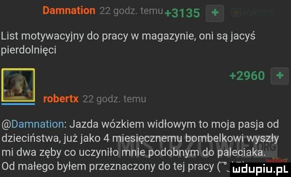 dimmiion     gl i ww     . list motywacyjny do pracy w magazynie oni są jacyś pierdolnięci      robert zwix lem damnation jazda wózkiem widłowym to moja pasja od dzieciństwa już jako   miesięcznemu bombelkowi wyszły mi dwa zęby co uczyniło mnie podobnym do paleciaka.  d małego byłem przeznaczony dętej pracy ﬁﬂupiupl