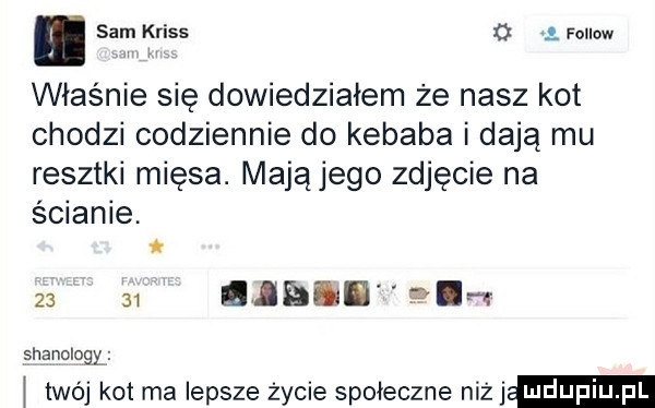 sam kross o. fellow właśnie się dowiedziałem że nasz kot chodzi codziennie do kebaba i dają mu resztki mięsa. mają jego zdjęcie na ścianie. t       biblia snanologl i twój kot ma lepsze życie społeczne niż j