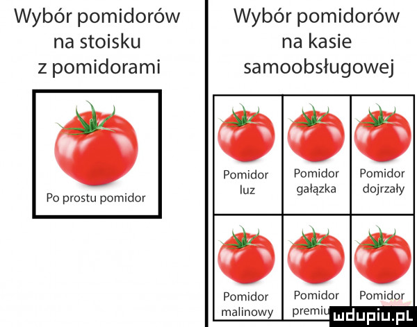 wybór pomidorów wybór pomidorów na stoisku na kasie z pomidorami samoobsługowej pomidor pomidor pomidor luz gałązka dojrzały pomidor pomidor pomidor malinowy premi po prestu pomidor