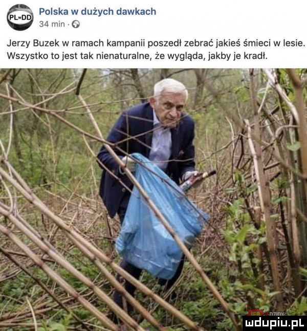 pl polska w dużych dawkach    mm   jerzy buzek w ramach kampanii poszedł zebrać jakieś śmieci w lesie. wszystko to jest tak nienaturalne że wygląda jakby je kradł