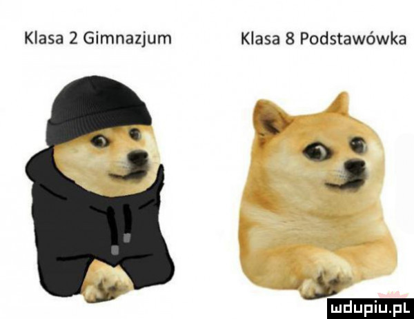klasa   gimnazjum klasa   podstawówka  . z r s