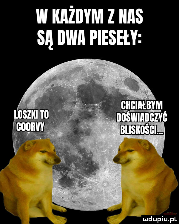 w każdym z idas sl bwa pieseły