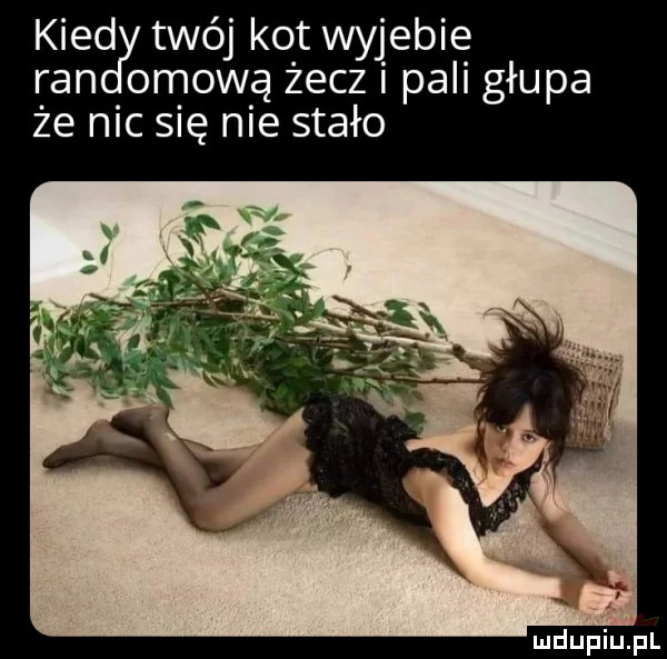 kred twój kot wyjebie ran omową życz i pali głupa że nic się nie stało