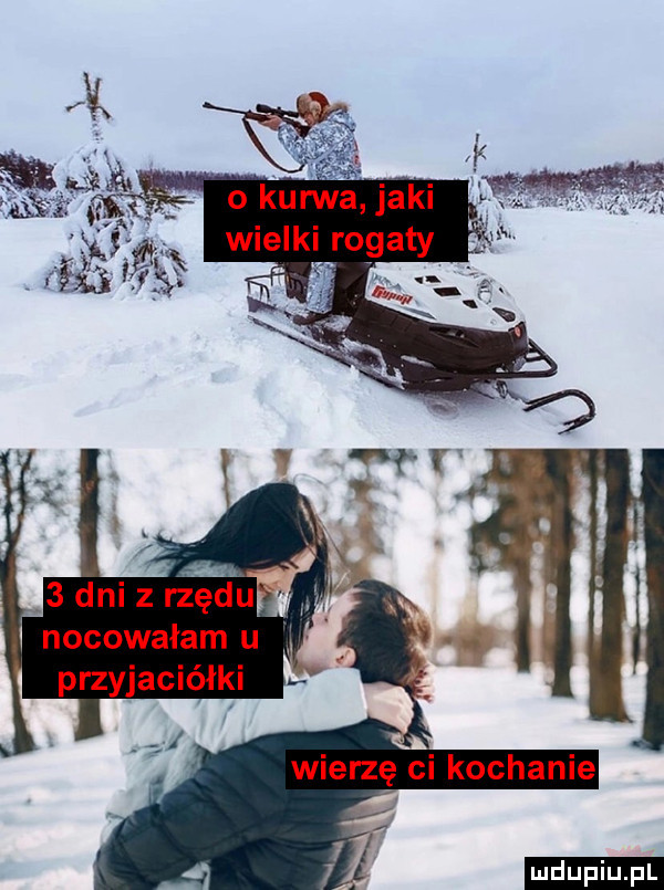 o kurwa jaki wielk rogaty