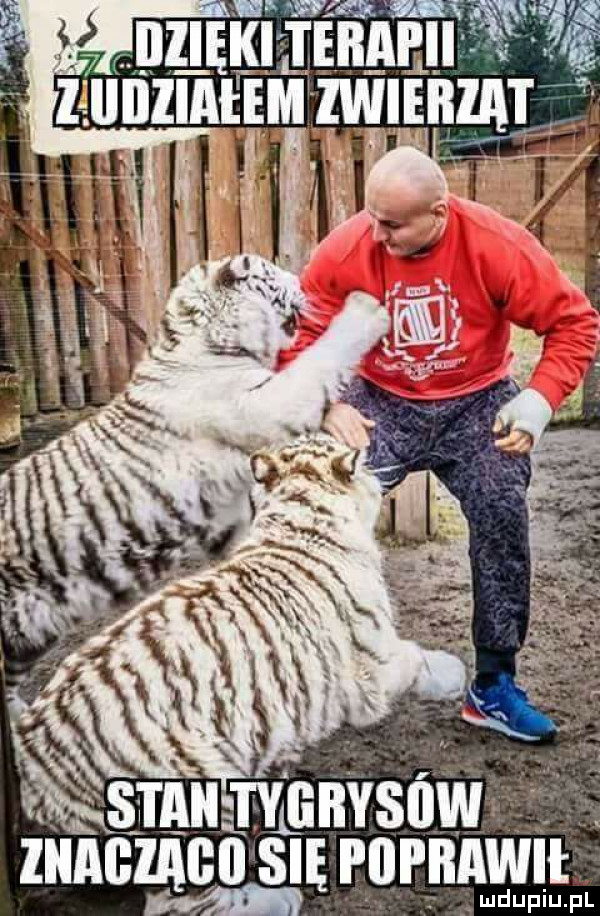nam erdf zł. nllntemj rzwąm. ibl x. jąneyl bysﬂw     imagine się p di b abe