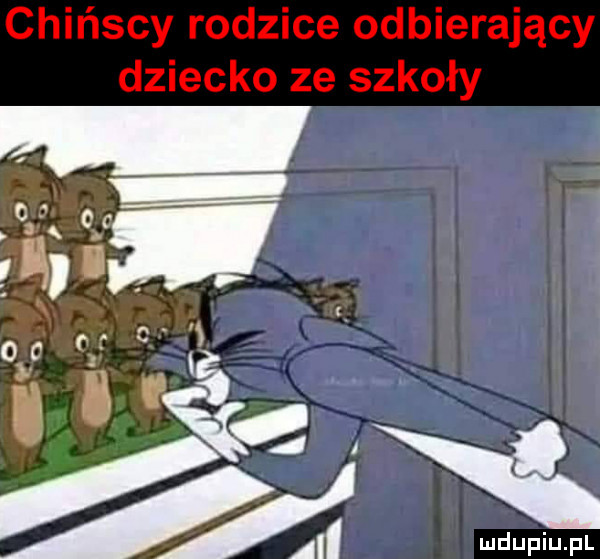 Obrazek