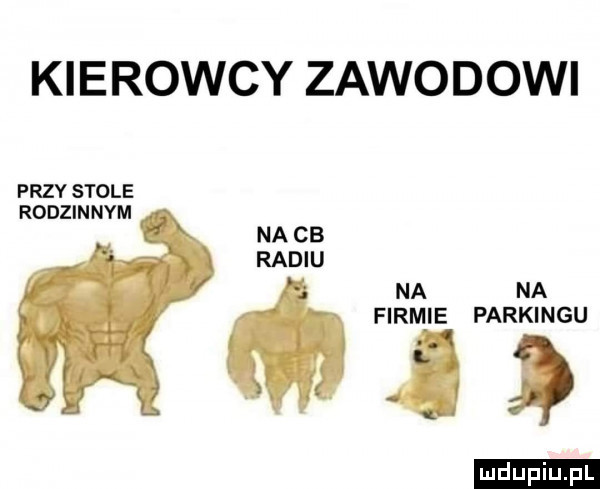 kierowcy zawodowi przy stole rodzinnym na cb radiu. firmie parkingu duciu pl